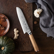 Load image into Gallery viewer, Japanese Handmade AUS-10 Steel 9&quot; Chef&#39;s Knife
