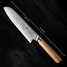 Load image into Gallery viewer, Japanese Handmade AUS-10 Steel 9&quot; Chef&#39;s Knife
